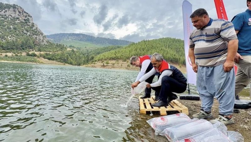 Mersin’de 17 göl ve gölete 347 bin yavru sazan bırakıldı