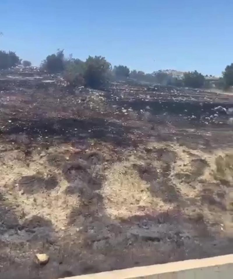 Mersin’de 6 dekar bahçe yangında zarar gördü