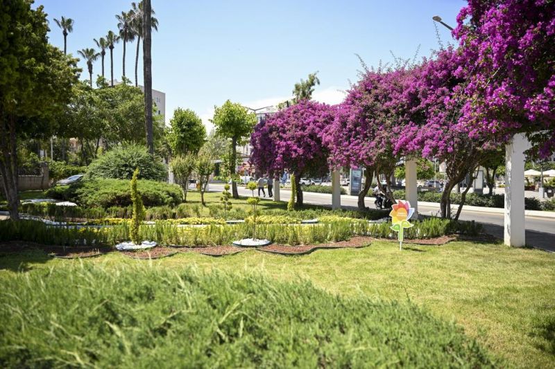 Mersin’i yaz çiçekleri süslüyor